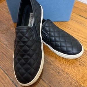 Steve Madden Ecentrcq